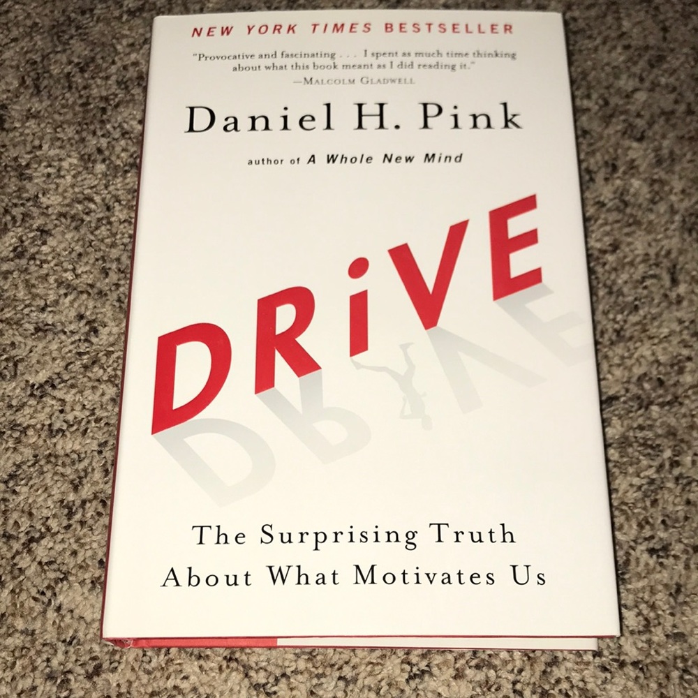 Drive  The Surprising Truth About What Motivates